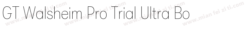 GT Walsheim Pro Trial Ultra Bold Re字体转换